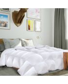 Couette plume d'oie anti-acariens colibri blanc - 260x240 cm