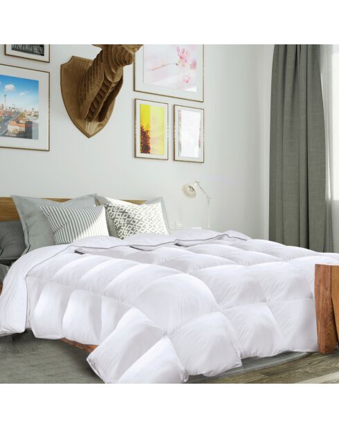 Couette plume d'oie anti-acariens colibri blanc - 260x240 cm