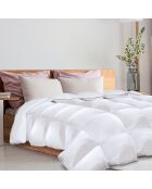 Couette plume d'oie anti-acariens colibri blanc - 260x240 cm