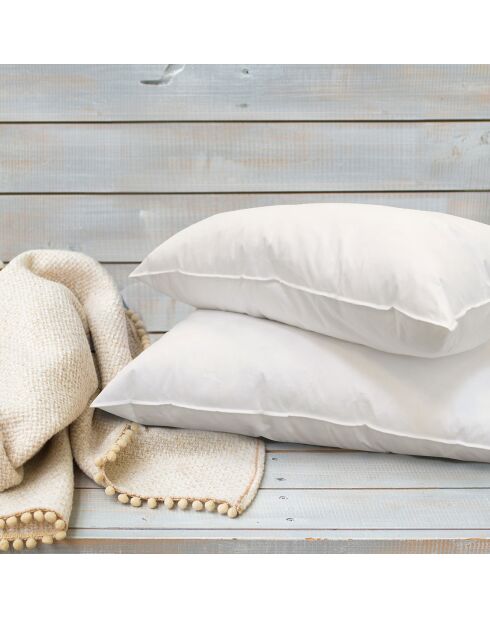 Oreiller Fibres creuses Alaska blanc - 50x70 cm