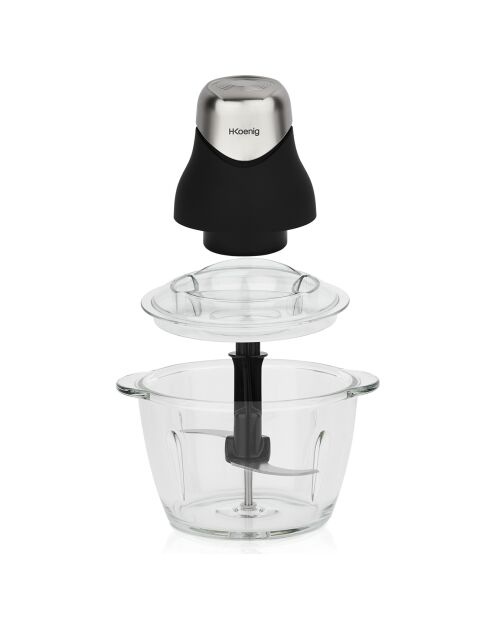 LEO8 schwarz/transparenter Mini-Elektrohäcksler - 320W