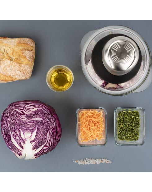 LEO8 schwarz/transparenter Mini-Elektrohäcksler - 320W