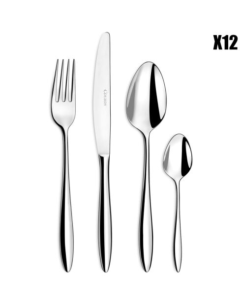 Ménagère Cap Horn argentée - 48 pièces