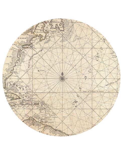 Tapis vinyle Victor beige/noir - D.100 cm