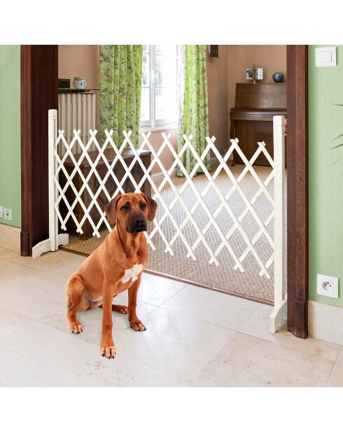 Barriere Extensible en plastique blanche - 35/220x87 cm