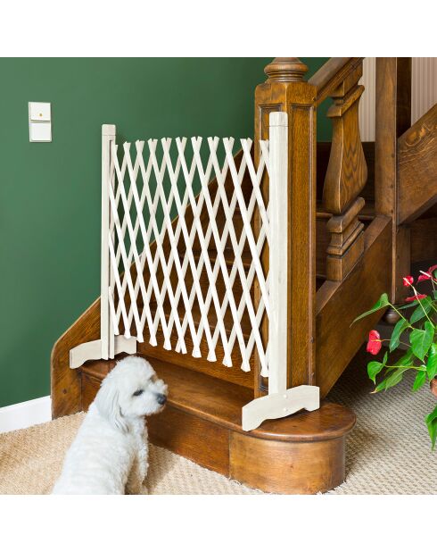 Barriere Extensible en plastique blanche - 35/220x87 cm