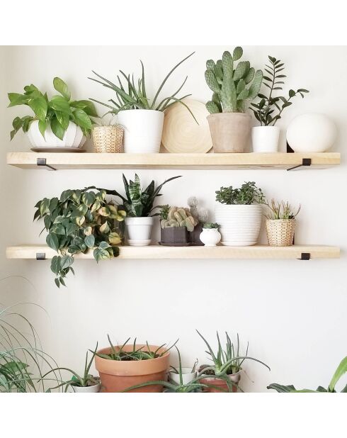 2 Wandregale aus schwarzer Eiche - 60x16x14 cm