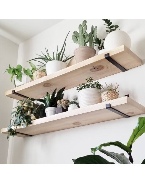 2 Wandregale aus schwarzer Eiche - 60x16x14 cm