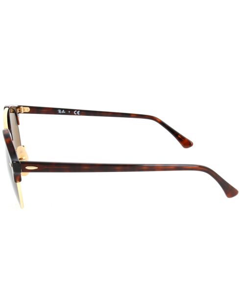 Lunettes de soleil Homme Clubround Double Bridge havane