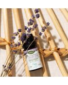Ätherisches Bio-Lavendelöl schützt und beruhigt, 10 ml