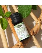 Huile Essentielle Bio Pure de Menthe Poivrée Décongestionnant & Digestion - 10 ml