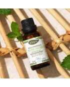 Biologische etherische pepermuntolie, decongestivum en spijsvertering - 30 ml