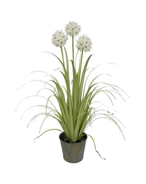 Agapanthe artificielle à fleur blanche blanc/gris/vert - 21x19x99 cm
