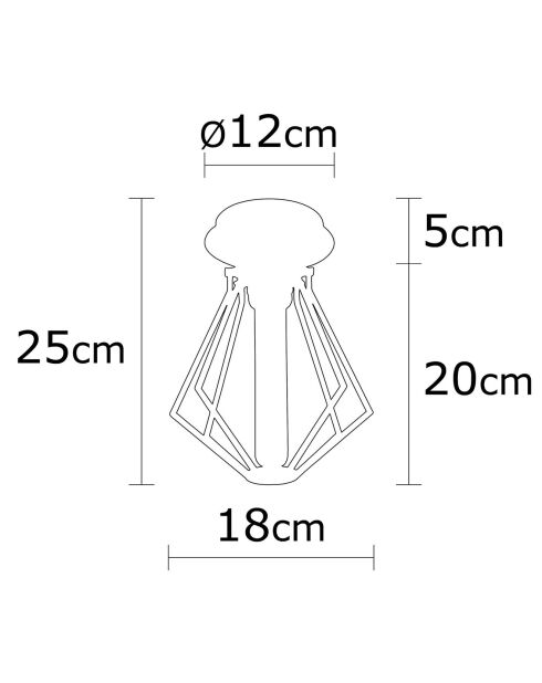 Zwarte plafondlamp Oylat - 18x25 cm