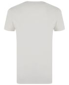 T-Shirt Calvin gris