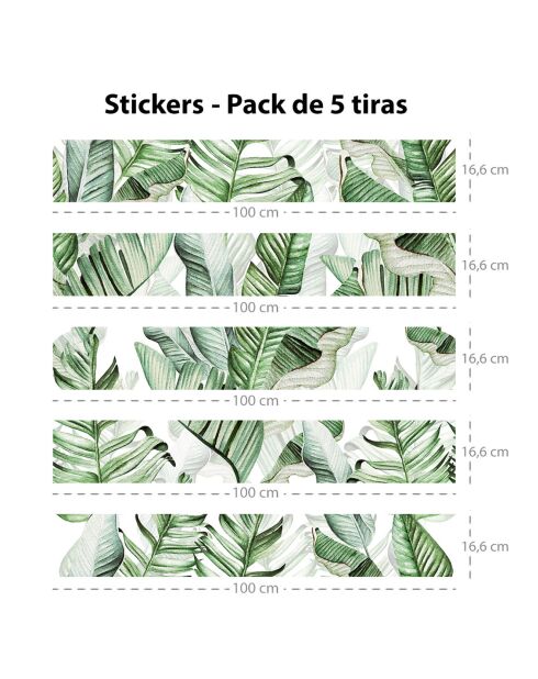 5 Bandes adhèsives Hojas verofs vertes - 16.6x100 cm