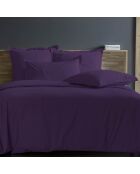 Housse de couette 100% Percale de Coton aubergine