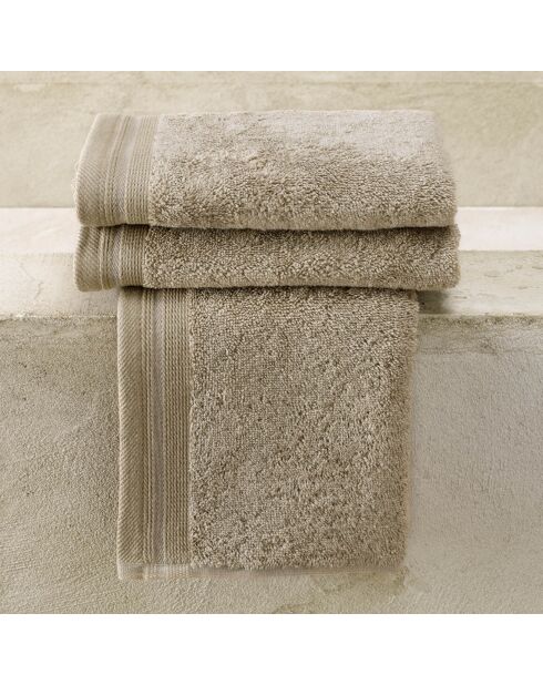 3 Serviettes invités taupes - 40x60 cm