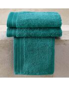 3 Serviettes invités vertes - 40x60 cm