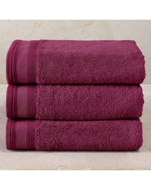 3 Auberginen-Handtücher - 50x100 cm