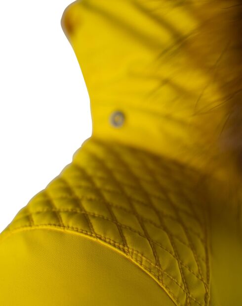 Veste de ski Penia jaune