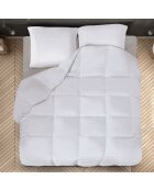 Couette + 1 oreiller plume d'oie anti-acariens colibri blanc - 140x200 cm