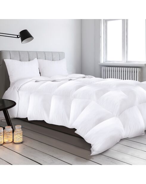 Couette + 1 oreiller plume d'oie anti-acariens colibri blanc - 140x200 cm