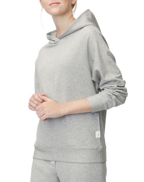 Sweat à capuche jersey gris