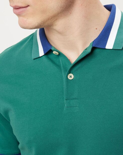 Polo Club shaped fit vert