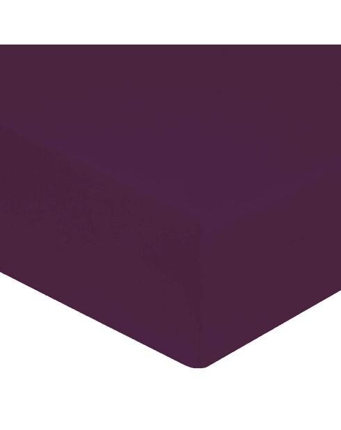 Drap housse 100% Satin de Coton bonnet 30 cm aubergine