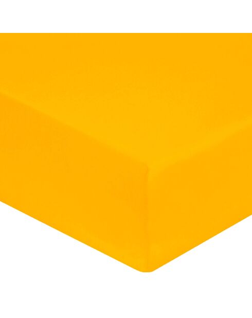 Drap housse 100% Satin de Coton bonnet 30 cm safran