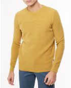 Pull Dalton jaune foncé