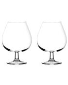 2 durchsichtige Cognacgläser - 67 cl
