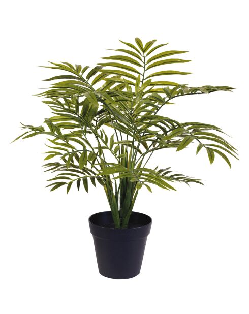 Décoration Phoenix artificiel esprit végétal verte - 50x50x46 cm