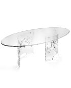 Table basse flor transparente - 120x60x35 cm