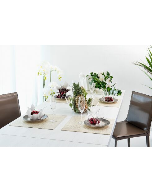 Vase daisy drappeggi transparent - 45x45x29 cm