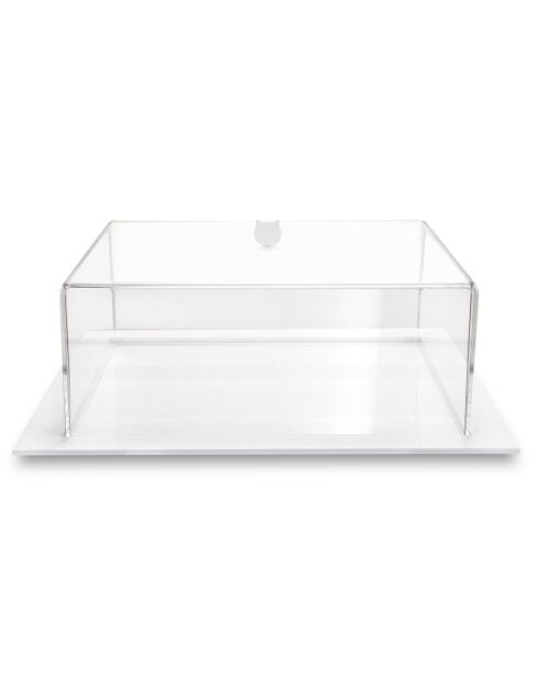 Porte-gâteau grand format bon ton transparent/blanc - 36x36x13.5 cm