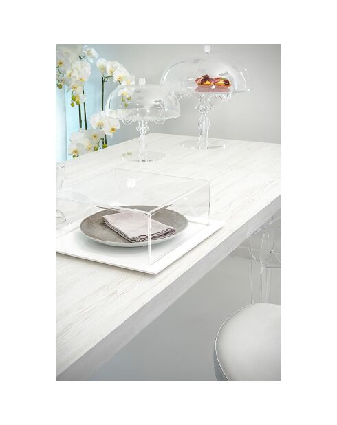 Porte-gâteau grand format bon ton transparent/blanc - 36x36x13.5 cm