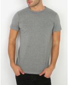 T-Shirt Col rond gris