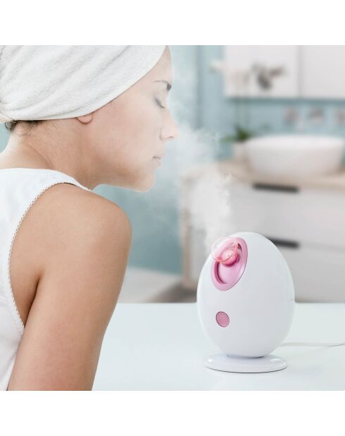 Moispa elektrische Gesichtssauna