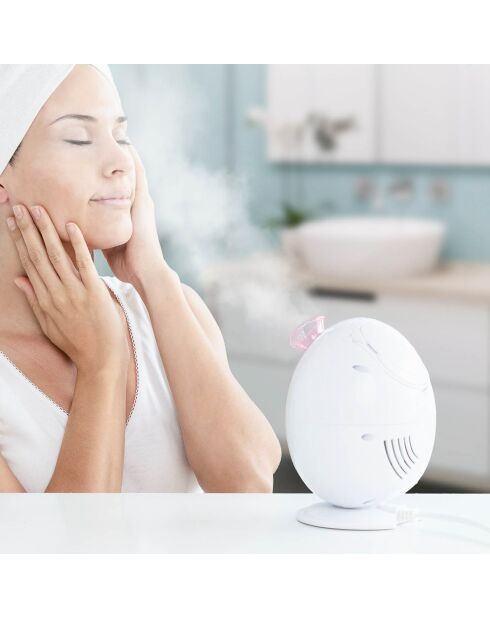 Moispa elektrische Gesichtssauna