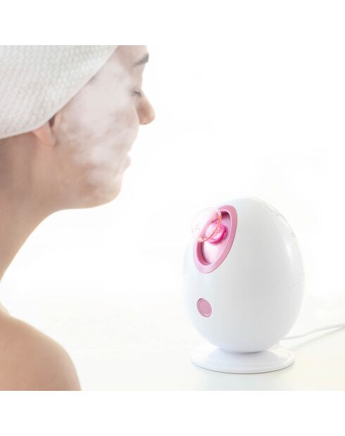 Sauna facial électrique Moispa