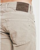 Pantalon en Velours gris/beige