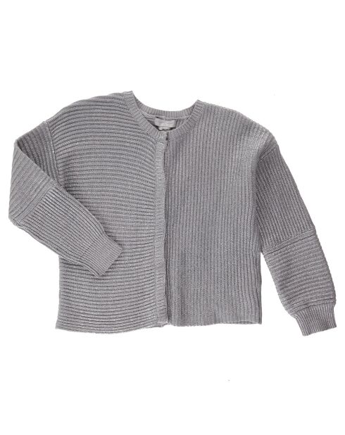 Cardigan en  Coton & Laine en maille métallisée gris/argenté
