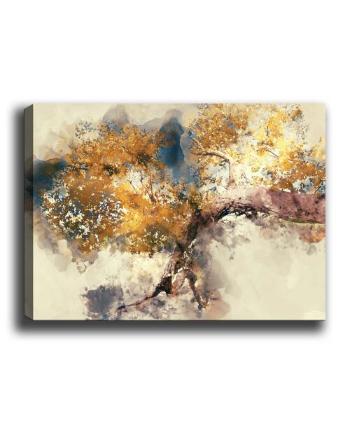 Tableau canvas décoratif multicolore - 70x100 cm