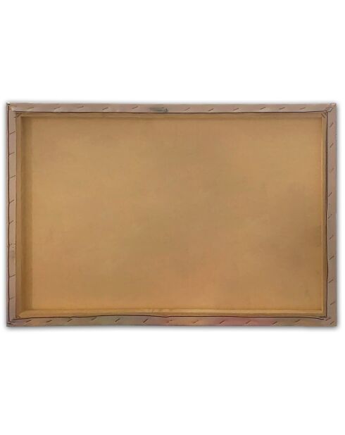 Tableau canvas décoratif rose - 70x100 cm