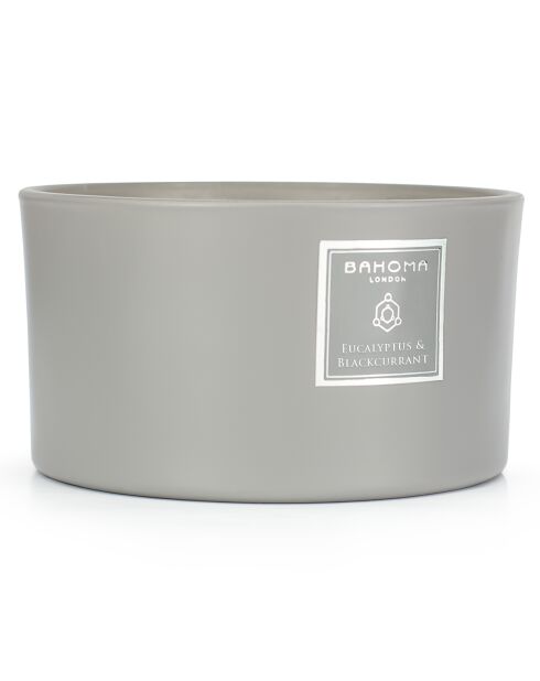 Bougie parfumée Ash Eucalyptus & Cassis - 3 mèches 40h