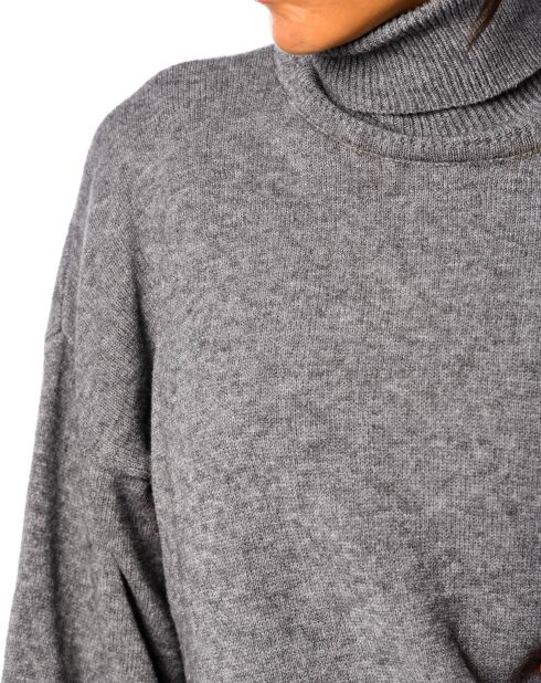 Robe Pull Levi grise