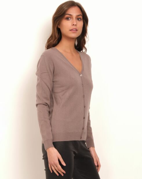 Gilet Arya 100% Cachemire taupe