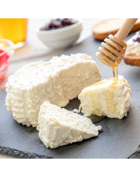 Moule pour faire du fromage frais Freashy blanc/vert